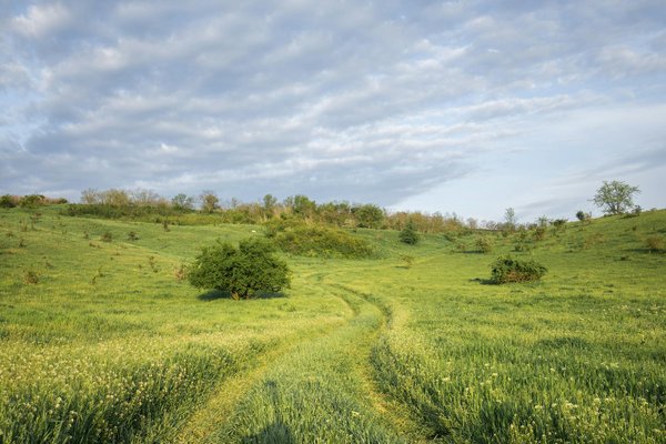 Guide des parkings gratuits incontournables à aix-en-provence